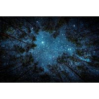 1 X Poster Schöner Nachthimmel - Sterne Wald Wild Camping Bäume Landschaft Grafik Wand Foto-Druck A4 | Din A3 A2 A1 #8595 von DestinationVinylLtd