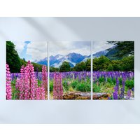 3 X Fiordland Nationalpark Poster - Neuseeland Trio Von Drucke Kunstwerk Kunst Feature Foto Dekoration Wand Dekor | A4 A3 Geschenk von DestinationVinylLtd