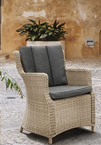 Destiny Gartensessel Luna 2er Set, Polyrattan + Aluminium, Natur meliert von Destiny