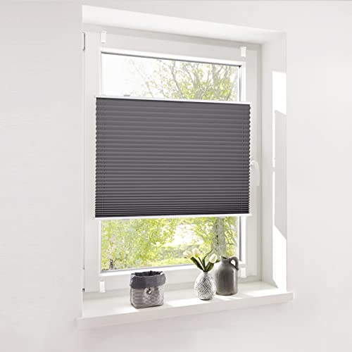 Deswell Plissee Rollo Jalousie ohne Bohren Klemmfix für Fenster & Tür Anthrazit 80 x 200 cm(Breite x Höhe), Plisseerollo Stoff Sonnenschutz leicht zu montieren & Verspannt 4 Locks von Deswell