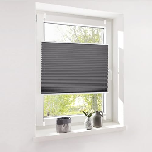 Deswell Plissee ohne Bohren Klemmfix Anthrazit B70 x H110cm Plisseerollo Blickdicht Sichtschutz Sonnenschutz Jalousien Easyfix Plissees Lichtdurchlässig Rollo für Fenster & Tür Deswell Plissee ohne Bohren Klemmfix Anthrazit B70 x H110cm Plisseerollo Blickdicht Sichtschutz Sonnenschutz Jalousien Easyfix Plissees Lichtdurchlässig Rollo für Fenster & Tür von Deswell