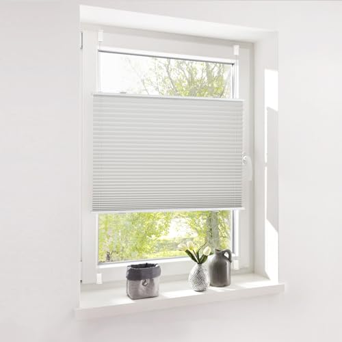 Deswell Plissee ohne Bohren Klemmfix Grau B50 x H100 cm Plisseerollo Sonnenschutz und Sichtschutz Jalousien Easyfix Plissees Lichtdurchlässig Rollo für Fenster & Tür von Deswell