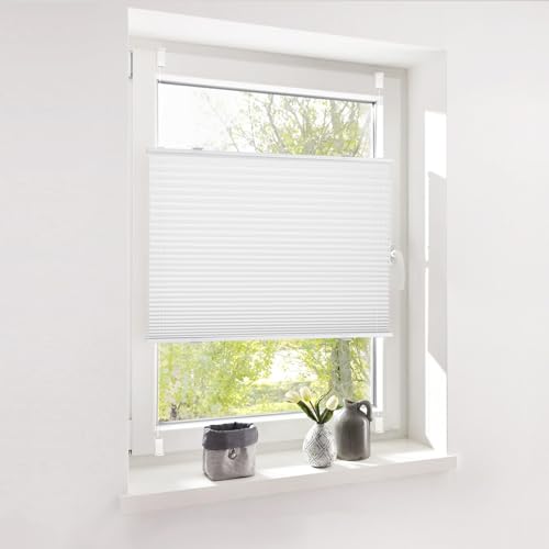 Plissee ohne Bohren Klemmfix Weiß B65 x H80 cm Plisseerollo Blickdicht Sichtschutz Sonnenschutz Jalousien Easyfix Plissees Lichtdurchlässig Rollo für Fenster & Tür Plissee ohne Bohren Klemmfix Weiß B65 x H80 cm Plisseerollo Blickdicht Sichtschutz Sonnenschutz Jalousien Easyfix Plissees Lichtdurchlässig Rollo für Fenster & Tür von Deswell