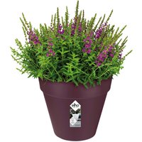 Deuba® Blumentopf Maulbeere Matt 25x22cm 5,5L von Casaria