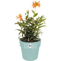 Deuba® Blumentopf Mint 18x17cm 2,9L von Casaria