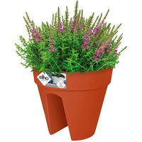 Deuba® Blumentopf Terrakotta 28,5x25,5cm von Casaria