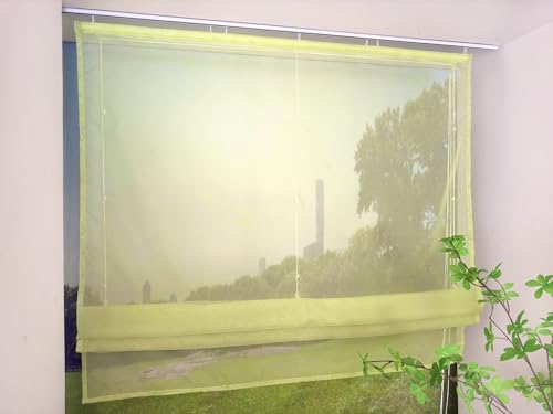 Devola Raffrollo Transparent mit Klettband Raffgardinen Modern Wohnzimmer Gardinen Einfarbig Bändchenrollo Landhaus Voile Vorhang Kurz HxB 140x140cm Grün 1 Stück von Devola
