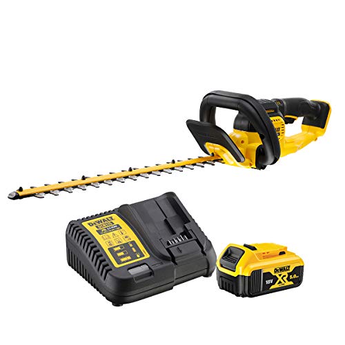 DEWALT Cortasetos XR 18V con 1 baterrie Li-Io Multicolor von DEWALT