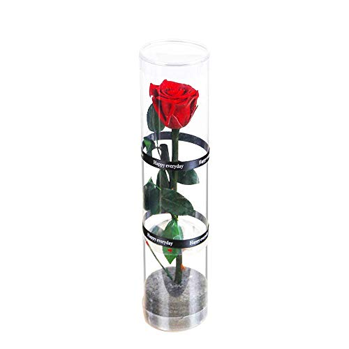 Dewanxin Ewige Rose Handgefertigt Konservierte Rose,Eternal Rose, konservierte natürliche Rose,konservierte echte Rosen für Wohnkultur Hochzeit Valentinstag Muttertag Weihnachtstag Geburtstag (Rot) von VegTrug