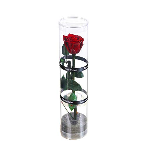 Dewanxin Ewige Rose Handgefertigt Konservierte RoseEternal Rose konservierte natürliche Rosekonservierte echte Rosen für Wohnkultur Hochzeit Valentinstag Muttertag Weihnachtstag Geburtstag (Dunkelrot) von VegTrug