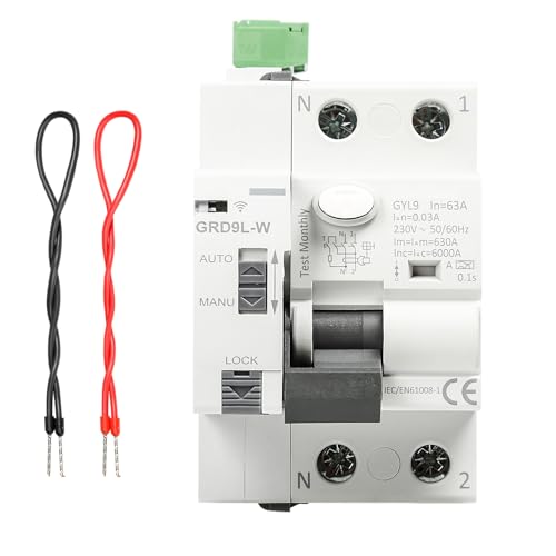 FI Schutzschalter 63A 30ma 2 polig Typ A Sicherungsautomat Wlan Leitungsschutzschalter APP Recovery Reclosing FI schalter RCCB Fehlerstromschutzschalter AC 230V FI schutzschalter (GRD9L-W) von DewinLVD