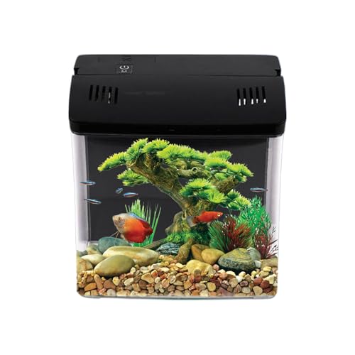 Dewireaey Betta Fischbecken | Kleines Aquarium Becken | Deko Für Schreibtisch Wohnzimmer Büro Tisch | Haustier Für Schildkröten Aquaterrarium von Dewireaey