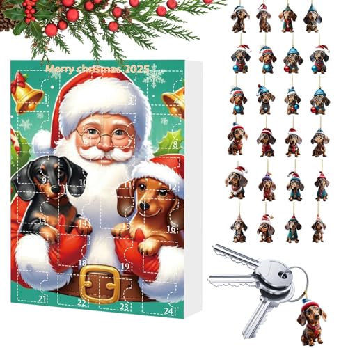 Dewireaey Dackel Adventskalender - Hund 2025 24 Tage Weihnachtsschmuck Kalender,Niedliche Deko Für Dezember Fest Wohnzimmer Kinder Feier Eingangsbereich Schlafzimmer Teenager von Dewireaey