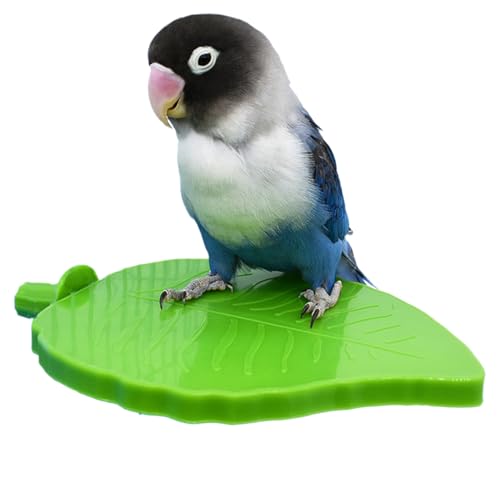 Dewireaey Sitzstangen Standfuß - Stehspielzeug Für Vögel Mit Blattform,Vogelspielplatz Für Wellensittiche Nymphensittiche Sittiche Aras Dewireaey Sitzstangen Standfuß - Stehspielzeug Für Vögel Mit Blattform,Vogelspielplatz Für Wellensittiche Nymphensittiche Sittiche Aras von Dewireaey