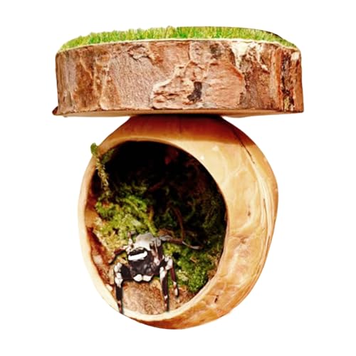 Dewireaey Spinnen Versteck | Springspinnen Terrarium Zubehör | Magnethaus Für Amphibien Reptilien Gottesanbeterin Kleintiere Vogelspinne von Dewireaey