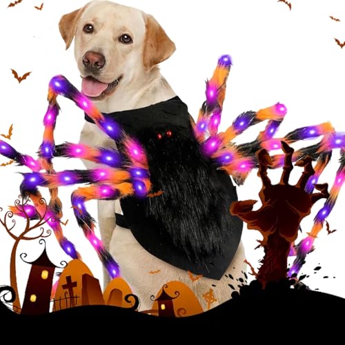 Plüschtier Spinnen-Outfit Für Haustiere - Verstellbares Halloween Spinnenkostüm Für Hund Katze, Lebendiges Cosplay Kostü Haustierkleidung, Für Halloween Cosplay Party-Dekoration, Partyzubehör Plüschtier Spinnen-Outfit Für Haustiere - Verstellbares Halloween Spinnenkostüm Für Hund Katze, Lebendiges Cosplay Kostü Haustierkleidung, Für Halloween Cosplay Party-Dekoration, Partyzubehör von Dewireaey