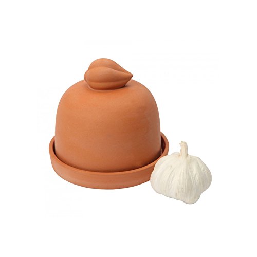 Dexam 17851022 Knoblauchbacker, Terrakotta, 13 cm von Dexam