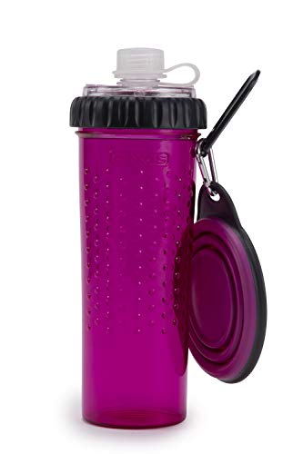 Dexas PW4504322405 Snack-Duo with Companion Cup, Fuchsia, pink, 1 stück von Dexas