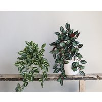 18 "Faux Tradescantia Zebrina, Künstliche Frühlings-Sommer-Hängepflanze, Diy Blumendekore/Wand Haus - Küchendekoration, Geschenke Für Sie von DexinFloral