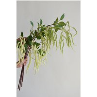 35 "Faux Grün Amaranth Tails Zweig, Künstliche Hängepflanze, Diy Blumenstrauß Arrangement/Grünpflanzen Hochzeit Innendekore Feiertagsgeschenke 35 "Faux Grün Amaranth Tails Zweig, Künstliche Hängepflanze, Diy Blumenstrauß Arrangement/Grünpflanzen Hochzeit Innendekore Feiertagsgeschenke von DexinFloral
