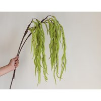 43 "Gefälschte Grüne Amaranth Tails Zweig, Künstliche Hängepflanze, Diy Blumenstrauß Arrangement/Grün Hochzeit Innendekore Feiertagsgeschenke 43 "Gefälschte Grüne Amaranth Tails Zweig, Künstliche Hängepflanze, Diy Blumenstrauß Arrangement/Grün Hochzeit Innendekore Feiertagsgeschenke von DexinFloral