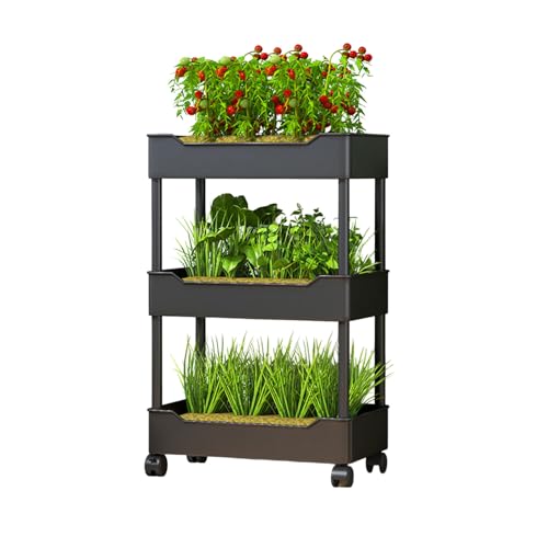 Hydroponisches Anbausystem Für Den Garten, Hydroponisches Pflanzgefäß-Set Mit Rädern, Bewegliches Blumenregal Für Grüne Pflanzen Auf Dem Balkon Für Gemüse Und Obst(Black,3-layer) von Dexinhdh