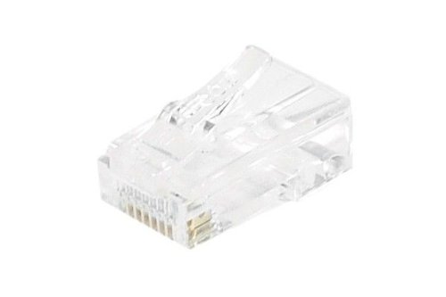 Dexlan RJ45 8/8 10 Stück von Dexlan