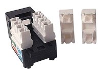 Dexlan Sockel RJ45 kurz CAD Cat. 5e Nicht geschirmt (UTP) von Dexlan