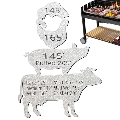 Dfstvup Magnet für Fleischtemperatur - Magnetischer Fleisch Thermometer - Präzises Grillzubehör Für Anfänger Bis Profis Geschenkidee Geburtstag Feiertag Camping von Dfstvup