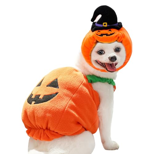 Dgayaeic Hundekürbiskostüm - Mit Kürbis-Hut | Gemütlich Warmes Halloween Welpen Outfit für tägliche Spaziergänge, Herbst und Winter, Fotografie und Themenparty Dgayaeic Hundekürbiskostüm - Mit Kürbis-Hut | Gemütlich Warmes Halloween Welpen Outfit für tägliche Spaziergänge, Herbst und Winter, Fotografie und Themenparty von Dgayaeic