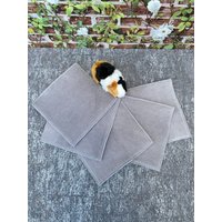 Dibi's Pipipad 5-Set Urindichte Pipipads Für Kuschelsäcke Meerschweinchen Ca 28 X28 cm -Hellgrau Dibi's Pipipad 5-Set Urindichte Pipipads Für Kuschelsäcke Meerschweinchen Ca 28 X28 cm -Hellgrau von DiBisPipiPad