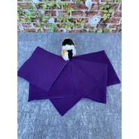 Dibi's Pipipad 5-Set Urindichte Pipipads Für Kuschelsäcke Meerschweinchen Ca 28 X28 cm -Lila von DiBisPipiPad