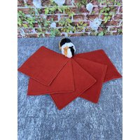 Dibi's Pipipad 5-Set Urindichte Pipipads Für Kuschelsäcke Meerschweinchen Ca 28 X28 cm -Rost von DiBisPipiPad
