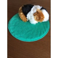 Dibi's Pipipad Urindichte Pipipads Tiere Zubehör Pipipad Rund Smaragd von DiBisPipiPad
