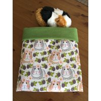 Kuschelsack/Schlafsack Meerschwein Ratten Nager Igel Guinea Pig Brombeere Grün von DiBisPipiPad