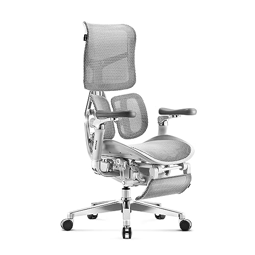 Diablo Brave V-Kinetic Bürostuhl Ergonomisch Schreibtischstuhl Chefsessel mit Fußstütze 5D Armlehnen Netzstoff Lendenwirbelstütze Verstellbarer Sitz Belastbar bis 120 kg (Grau) von Diablo