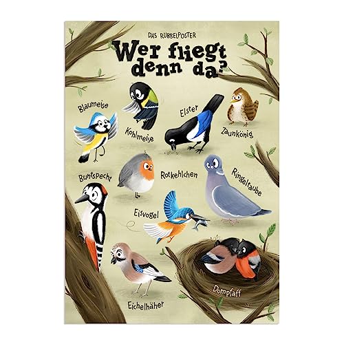 Diamandi Rubbelposter Wer fliegt denn da - Einheimische Vögel - Interaktives DIN A3 Poster für Kinder und Naturfreunde - Tiere entdecken und auf dem Kratzposter freirubbeln von Diamandi