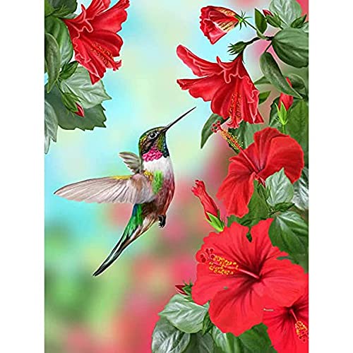 DIY 5D Diamant Malerei Kits Malen nach Zahlen Kolibri groß Diamond Painting Bilder Vollbohrer Stickerei Kreuzstich Kristall Strass Gemälde für Home Wanddekoration Mosaik Geschenk 30x50cm von Diamond painting YOUDONG