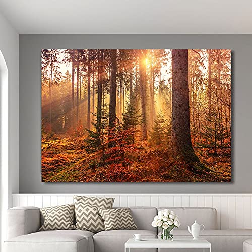 DIY 5D Diamant Malerei Kits Malen nach Zahlen Wald groß Diamond Painting Bilder Vollbohrer Stickerei Kreuzstich Kristall Strass Gemälde für Home Wanddekoration Mosaik Geschenk 30x50cm von Diamond painting YOUDONG