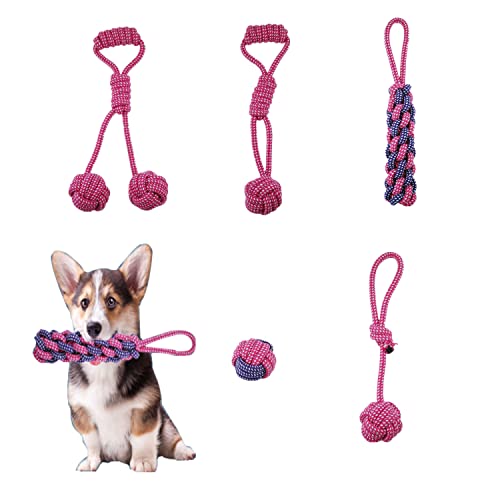 Diaryan Spielzeug,5 Stück Baumwoll Hundeseile Set Intelligenz Entwickeln Geeignet Kleine Hunde/ Mittlere Verschiedene Hundebälle Welpenspielzeug ​Zahnpflege,aus Natürlicher Baumwolle,Dia-2,Rose red von Diaryan