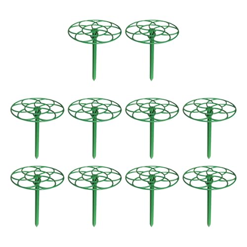 Dickly 10Pcs Anlage Topper Halter Blume Käfig Hosenträger Unterstützung Stakes Wachsen durch Grids für, Groß Dickly 10Pcs Anlage Topper Halter Blume Käfig Hosenträger Unterstützung Stakes Wachsen durch Grids für, Groß von Dickly