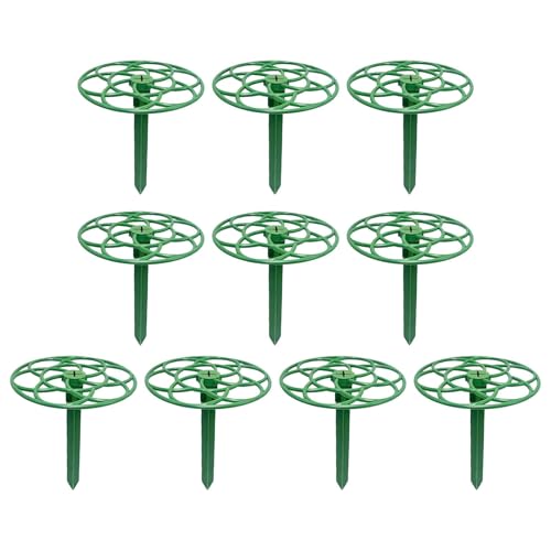 Dickly 10Pcs Anlage Topper Halter Blume Käfig Hosenträger Unterstützung Stakes Wachsen durch Grids für, Klein von Dickly