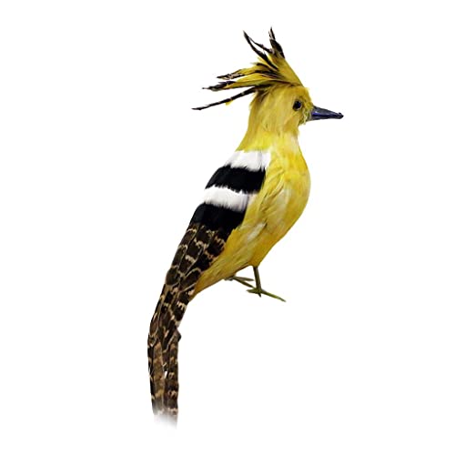 Dickly Dekofigur Als Gartendeko Vogelfigur Und Tierstatue Künstlicher Specht Gestaltet Aus Polyethylen Und Federn für Fotografie Und Schaufenster, Wiedehopf schwarz, 33x10x8cm Dickly Dekofigur Als Gartendeko Vogelfigur Und Tierstatue Künstlicher Specht Gestaltet Aus Polyethylen Und Federn für Fotografie Und Schaufenster, Wiedehopf schwarz, 33x10x8cm von Dickly