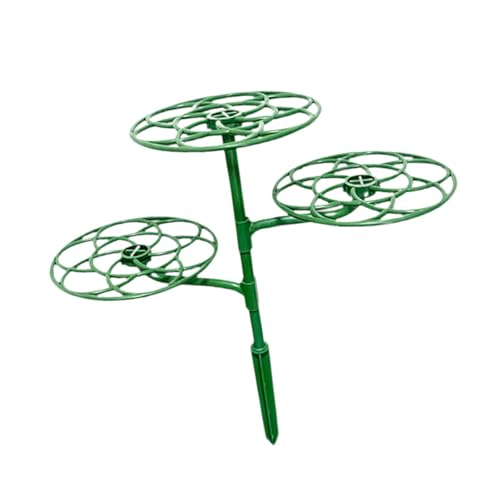 Dickly Leiter Rack Anlage Unterstützung Stehen Anlage Käfig Rahmen Spalier Bonsai Klettern Reben Rack, M von Dickly