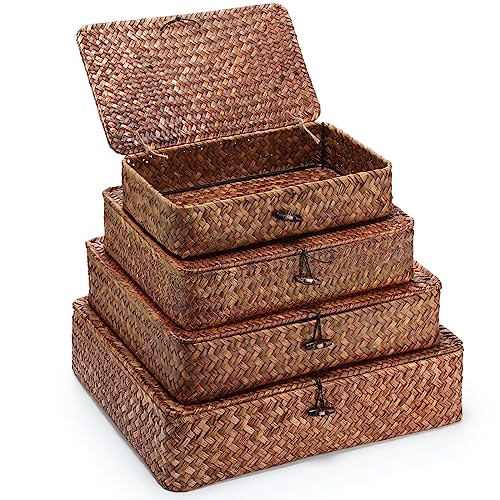 Didaey Set mit 4 Seegras-Körben mit Deckel, Weidenkorb, deko Aufbewahrungsboxen mit Deckel, flache Aufbewahrungskörbe, gewebte Organizer-Körbe für Regal, Schrank, Schlafzimmer, 4 Größen (Dunkelbraun) Didaey Set mit 4 Seegras-Körben mit Deckel, Weidenkorb, deko Aufbewahrungsboxen mit Deckel, flache Aufbewahrungskörbe, gewebte Organizer-Körbe für Regal, Schrank, Schlafzimmer, 4 Größen (Dunkelbraun) von Didaey