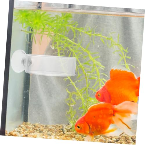 Didiseaon 2 STÜCK Reptilien Garnelen Futterspender mit Saugnapf aus Robustem Glas und Acryl Futterbehälter für Aquarium und Fischbecken Einfach zu Montieren Verhindert Futterverschwendung von Didiseaon