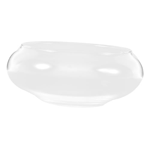 Didiseaon Kleines Glas-Fischschale, Desktop-Aquarium, transparent, hydroponischer Übertopf für Goldfische, Garnelen, Schildkröten, kompakt, multifunktional, Glasfisch, Wohnbecken für Zuhause und Büro von Didiseaon