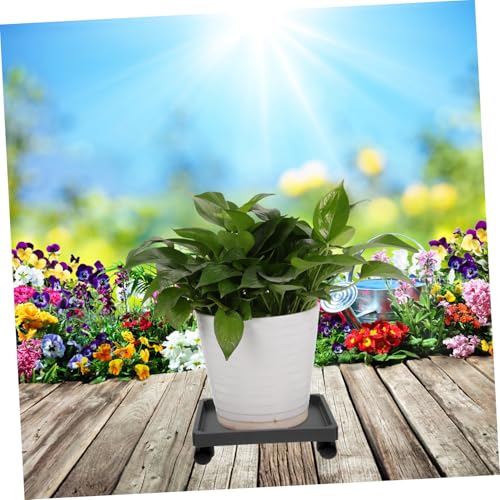 Didiseaon Plastik blumentopf untersetzer mit Rädern Bewegliches Pflanztablett Rechteckiger Pflanzenständer mit Hoher Tragkraft Wiederverwendbar Einfach zu Reinigen für Innen Außenbereiche Didiseaon Plastik blumentopf untersetzer mit Rädern Bewegliches Pflanztablett Rechteckiger Pflanzenständer mit Hoher Tragkraft Wiederverwendbar Einfach zu Reinigen für Innen Außenbereiche von Didiseaon