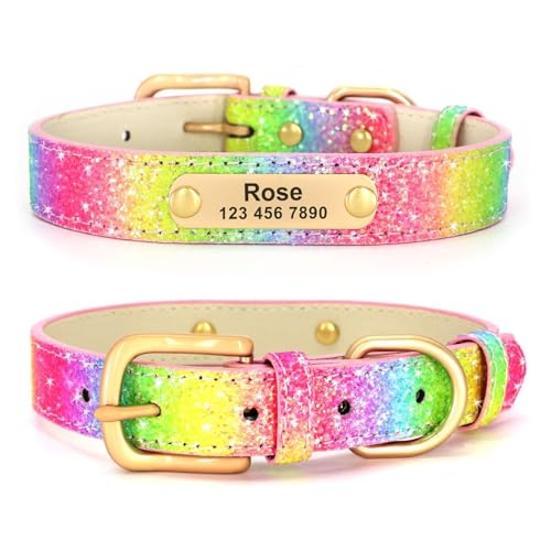 Didog Glitzernde Hundehalsbänder, personalisiertes Hundehalsband PU-Leder glitzernden Bling-Pailletten, individuelle Hundehalsbänder graviertem Namensschild kleine mittelgroße Hunde Katzen, Regenbo M von Didog