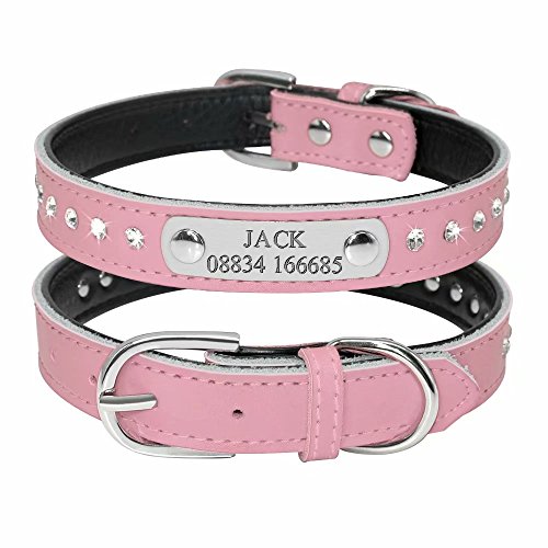Didog Glitzerndes gepolstertes Hundehalsband mit graviertem Namensschild, personalisierbares Lederhalsband für kleine, mittelgroße Hunde und Katzen, Pink, Größe M von Didog